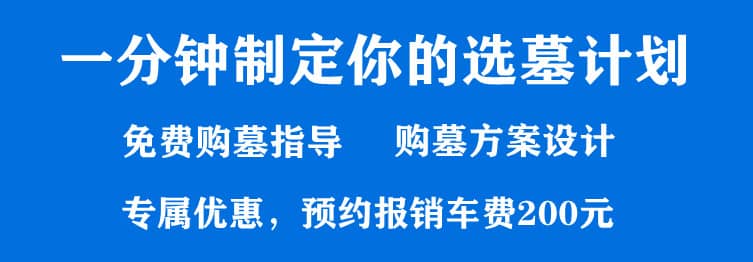 購墓指導(dǎo)、方案策劃
