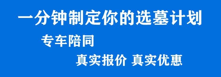 購墓指導(dǎo)、方案策劃