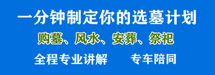 購墓指導、方案策劃