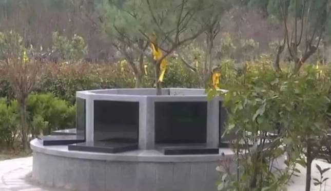 奉正塬公墓清明節(jié)公祭活動亮點紛呈，傳承中華孝道