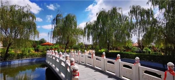 陜西涇陽臥龍山福園和西安漢皇樹葬墓園在墓型和殯葬方式上各有什么特點？