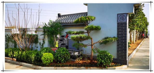 閻良漢皇陵樹葬墓園深度評(píng)測(cè)