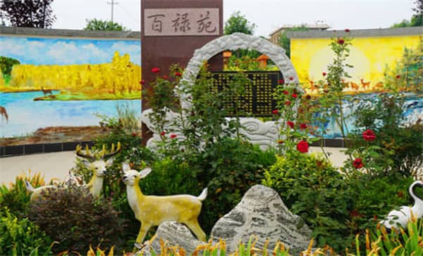 閻良漢皇樹葬骨灰公墓提供節(jié)地生態(tài)葬服務(wù)嗎？