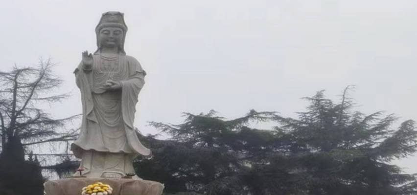 鳳棲山南區(qū)墓園，墓園價(jià)格優(yōu)惠快來(lái)選！