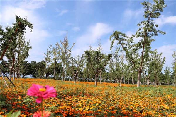 西安壽陽山墓園位置、概況、價格、評價