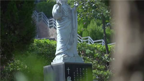 西安壽陽山墓園提供的擺渡車輛服務有哪些具體規(guī)定和注意事項？