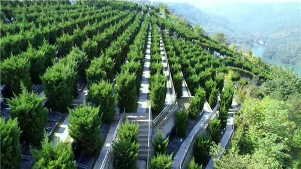 西安壽陽山墓園的花壇葬區(qū)有何特色，給訪客帶來了哪些視覺和心靈上的享受？