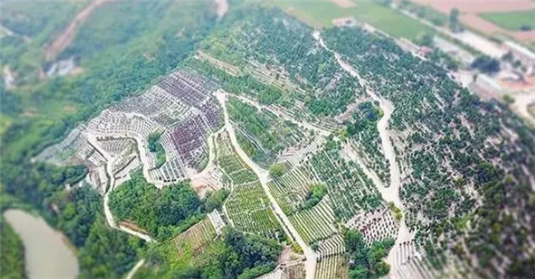 壽陽山墓園如何提供便捷的園區(qū)參觀服務(wù)？