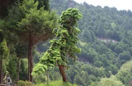 在重陽佳節(jié)期間，西安壽陽山墓園為訪客提供了哪些獨特的體驗活動？