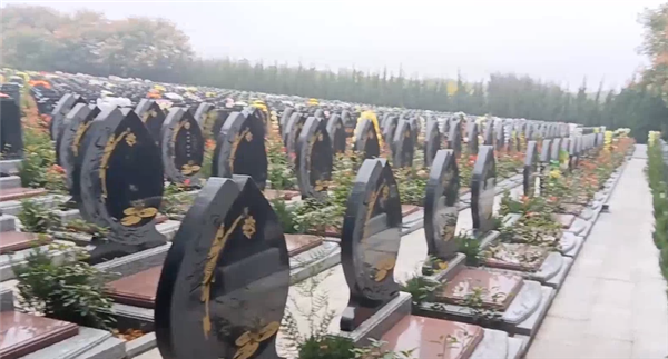 西安壽陽山墓園的服務(wù)范圍有哪些？
