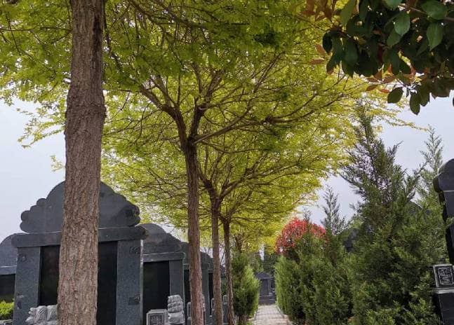 西安棗園山生態(tài)人文紀(jì)念園墓園地址電話