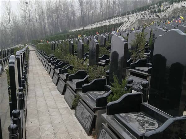 西安九龍山公墓的地址，任意選擇