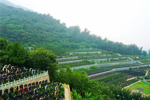西安九龍山公墓的專車免費接送服務具體是如何運作的？