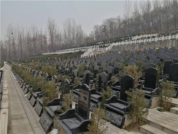 西安九龍山公墓的價(jià)格是否包含后續(xù)的維護(hù)管理費(fèi)用？