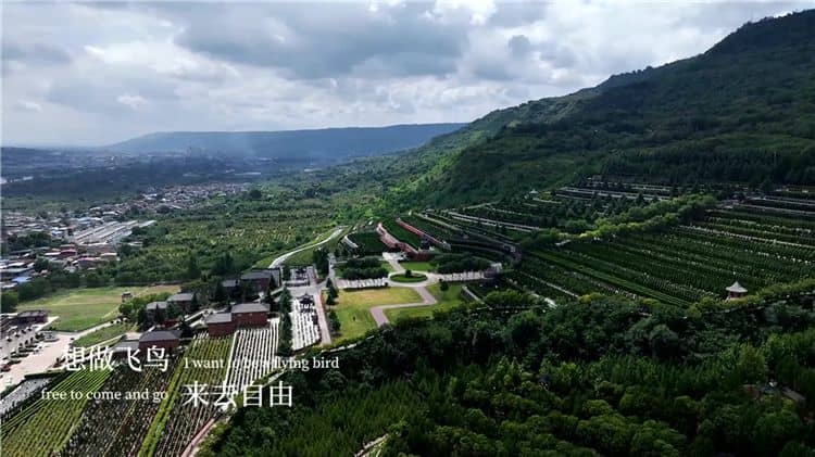 霸陵新區(qū)左右八字水隨脈而流