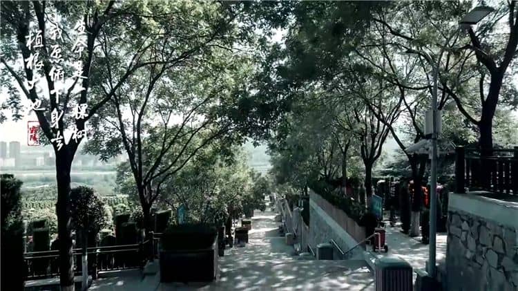 西安霸陵墓園新區(qū)的綠化覆蓋率是多少？