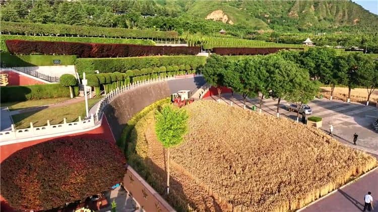 西安霸陵墓園開(kāi)放時(shí)間與入園政策詳解