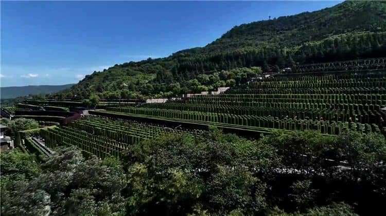 請問西安霸陵墓園新區(qū)有哪些配套設施？