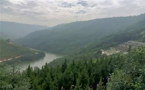 為什么高橋墓園的位置不多了但仍然有人想買？