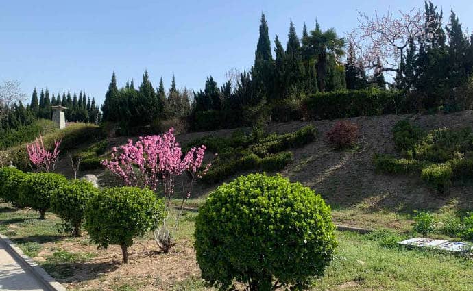 西安臥龍山墓園在規(guī)劃和建設(shè)上有哪些特點，這些特點如何體現(xiàn)墓園的獨特魅力？