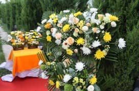 西安灞橋區(qū)有哪些陵園，各自有什么特色？