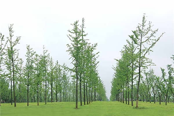 西安墓園中，哪些墓園在提供個性化商品和服務方面做得比較出色？