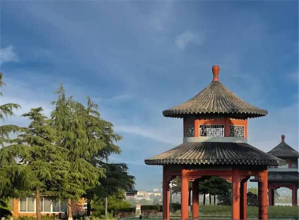 墓園是否有樹葬、花壇葬等生態(tài)葬選項？與傳統(tǒng)墓葬的區(qū)別？