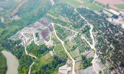 西安霸陵墓園公交線路指南：公交站點名稱全覽