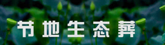 西安鳳棲山墓地購(gòu)買全攻略：選擇與購(gòu)買的最佳實(shí)踐